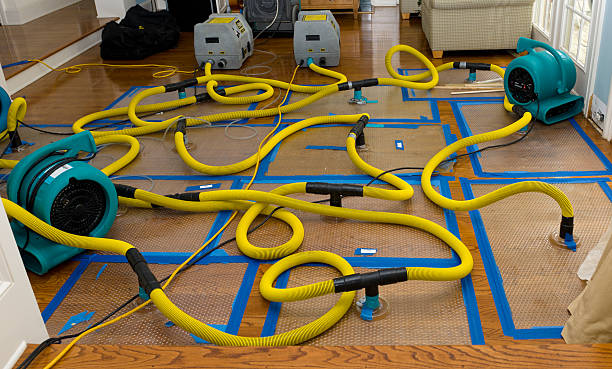 Professional Water Extraction technician working in Dodge Center, MN